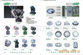 道路照明燈 產(chǎn)品類型與應(yīng)用場景全解析